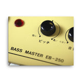 Suzuki Bassmaster EB-250