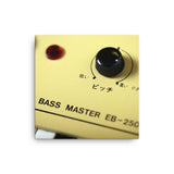 Suzuki Bassmaster EB-250